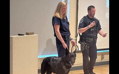 HOW DOGS EXPERIENCE THE WORLD THROUGH THEIR SENSES