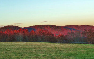SLEEPING GIANT STATE PARK: HOW THE GIANT WAS SAVED